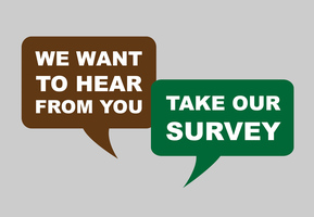 School Survey